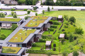 Zelené strechy sa dokážu vyrovnať s klimatickými výkyvmi